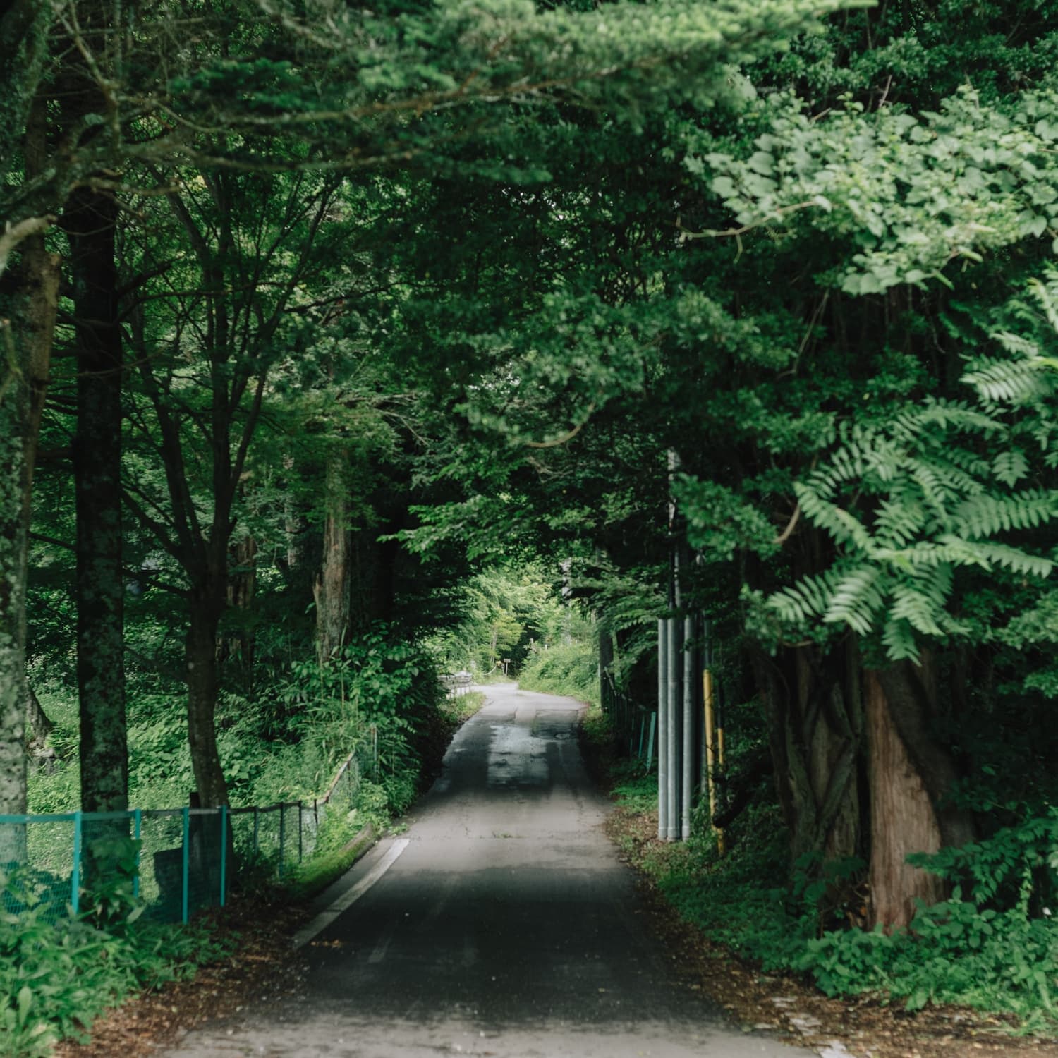 haluta hotelli still — 道